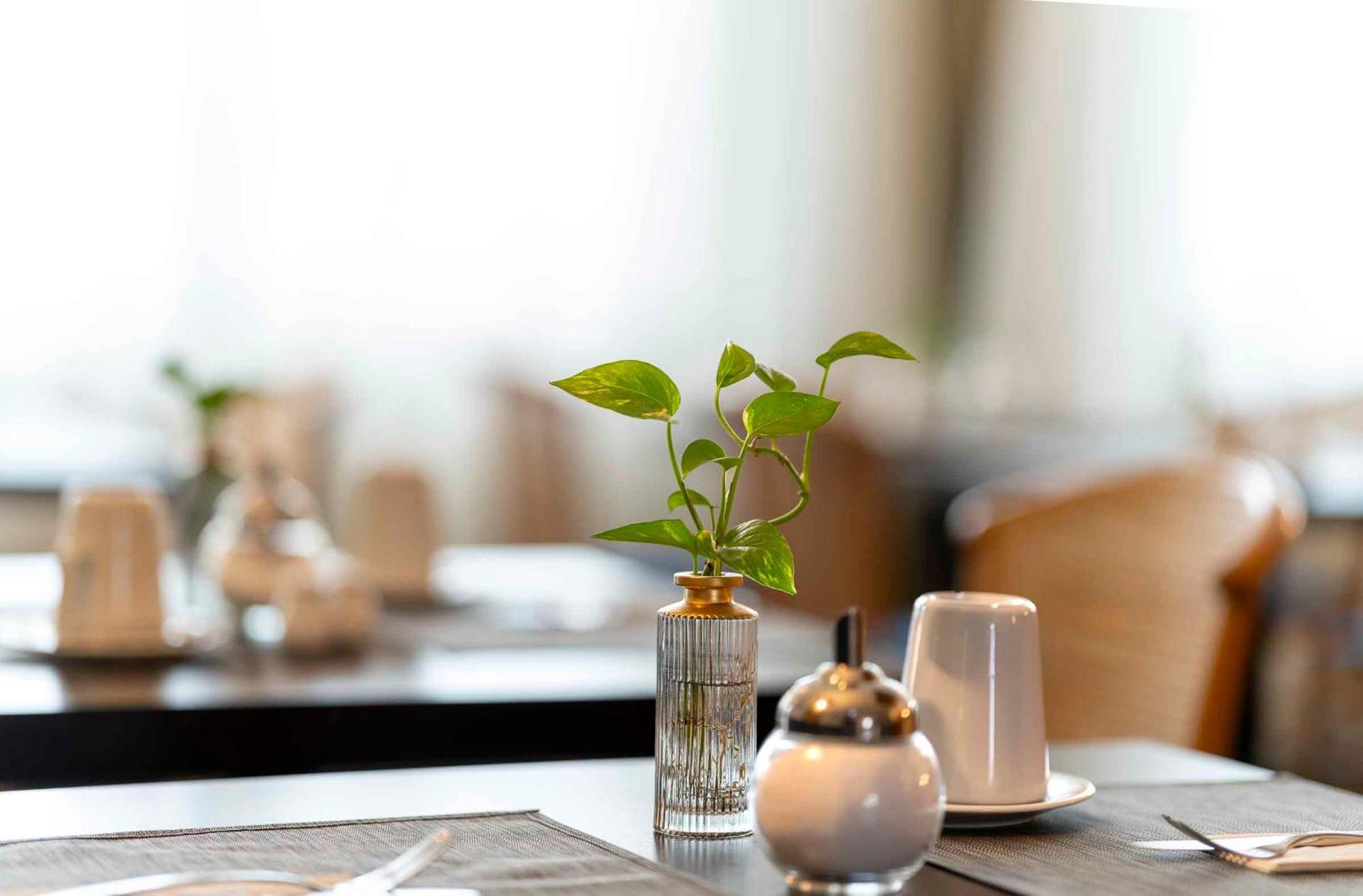 Plaza Inn Blankenburg Ditzingen, Sure Hotel Collection エクステリア 写真