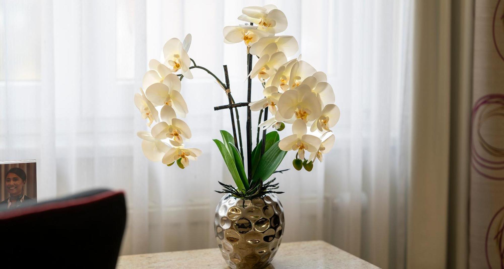 Plaza Inn Blankenburg Ditzingen, Sure Hotel Collection エクステリア 写真